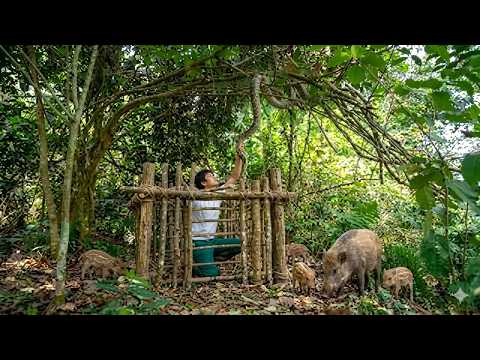 Days of Survival Living off the Land Tracking Wild Animals, Building Traps & Catching Snakes