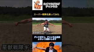 【名乗ってみた】星獣戦隊ギンガマン【スーパー戦隊】