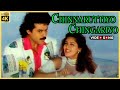 Chinnakuttiyo Chingariyo Video Song In Super Police Movie 1994 Venkatesh Soundarya Tamil Song