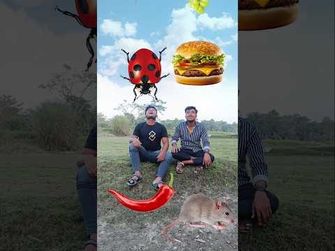 28 October 2023 Ice cream, burger, fruits, cilli vs insect eating game for two brothers vfx funny