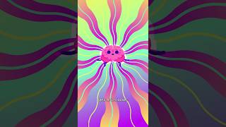 How Magic Mushrooms Affect Your Brain — Full Breakdown & Transcript