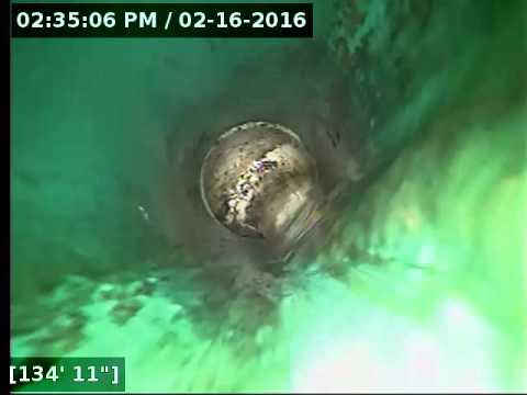 13954 Forest Street Thornton Co, 80602