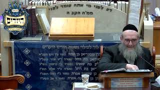 הרב יהושע ויזגן מסכת חולין דף סז עמוד א' (בית הכנסת מוסאיוף) - התמונה מוצגת ישירות מתוך אתר האינטרנט יוטיוב. זכויות היוצרים בתמונה שייכות ליוצרה. קישור קרדיט למקור התוכן נמצא בתוך דף הסרטון