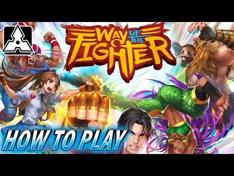 How to Play Way of the Fighter!
