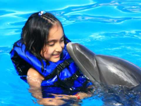 Dolphins, Zahra and Meenaz