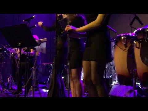 The Steely Damned 2 - 25 or 6 to 4