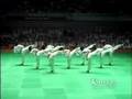 Korean Tigers