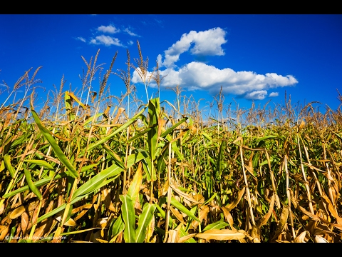 DJ Pervert - Open Your Eyes (Extendet) | © www.unaviva.com | CL07