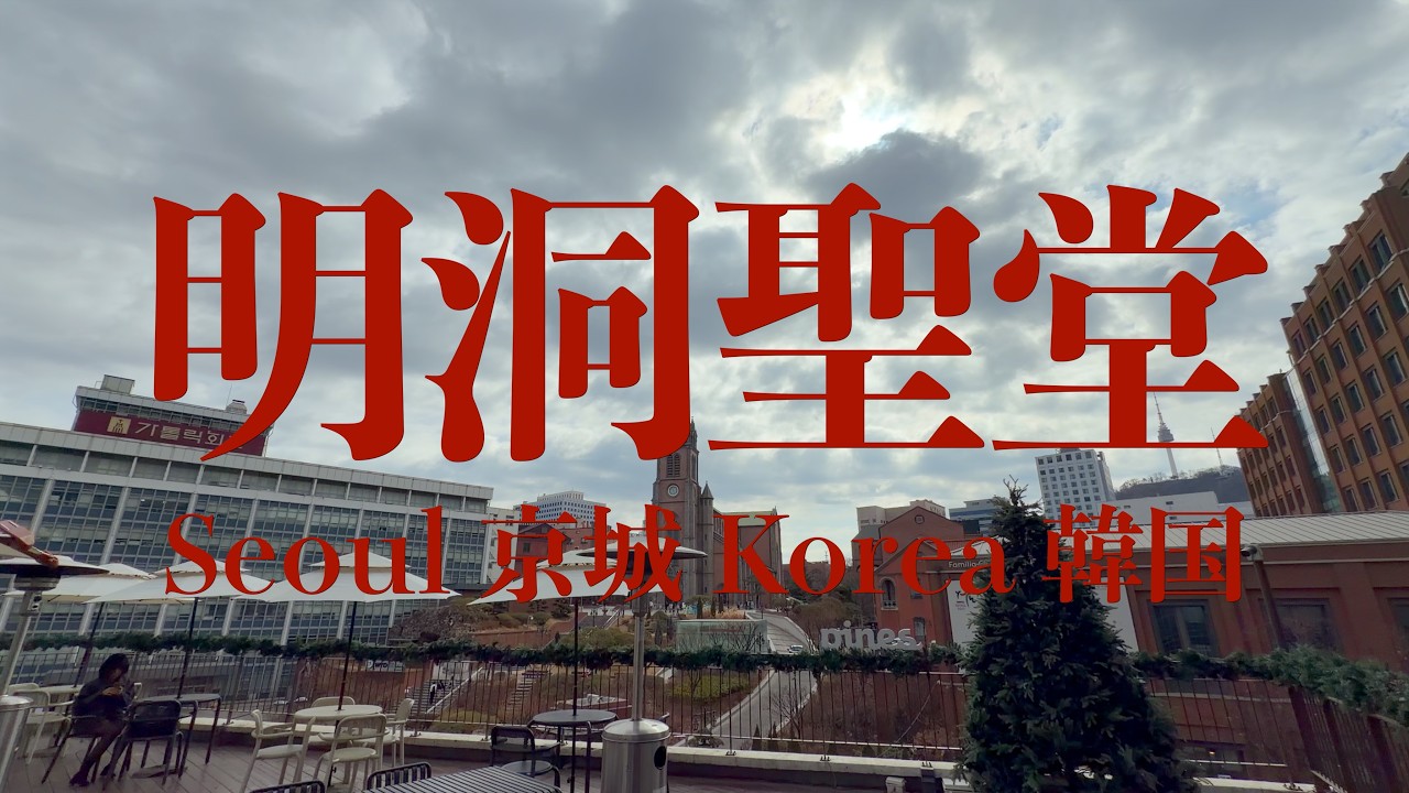 韓国ソウル（カンナム・ミョンドン）旅行 2026年2月  3泊4日の2日目