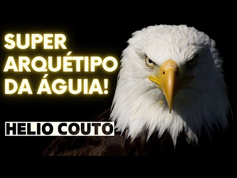 SUPER ARQUÉTIPO DA Águia - Pnl Hélio Couto para ativação.