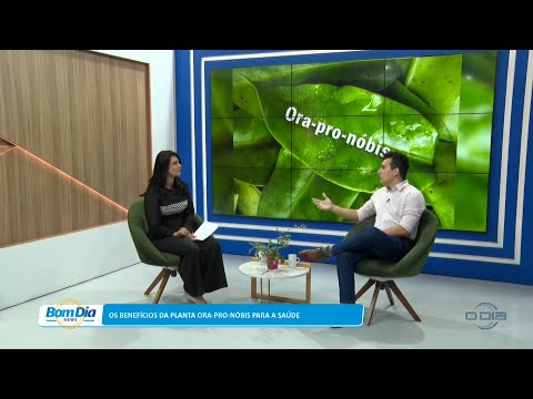 Os benefícios da planta Ora-pro-nóbis para a saúde 06 03 2023