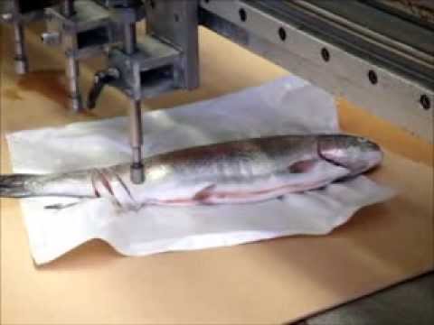 KMT Waterjet - Cutting fresh and frozen fish with pure water