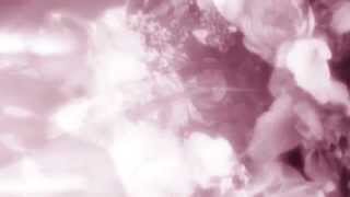 Na Leo Pilimehana - The Rest Of Your Life