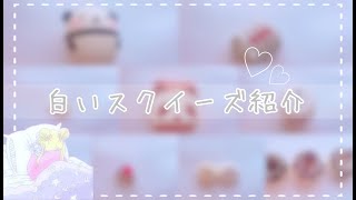白いスクイーズ紹介✎*