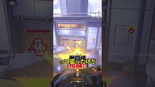 ジェットパックキャットとバスティオンの組み合わせが…【OW2】