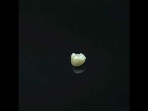 YouTube 썸네일