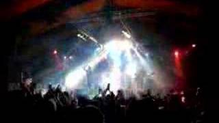 Racoon op Pisart festival in Eijsden