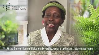 Message from Elizabeth Mrema, Executive Secretary, UN Convention on Biological Diversity