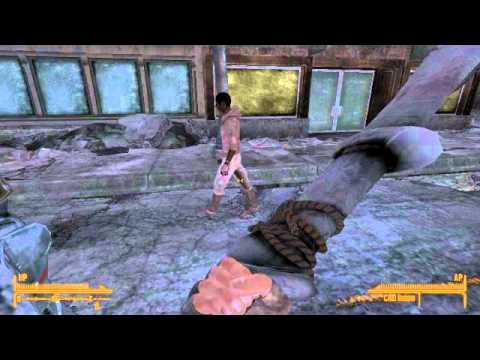 Fallout New Vegas Messing Around prt.4