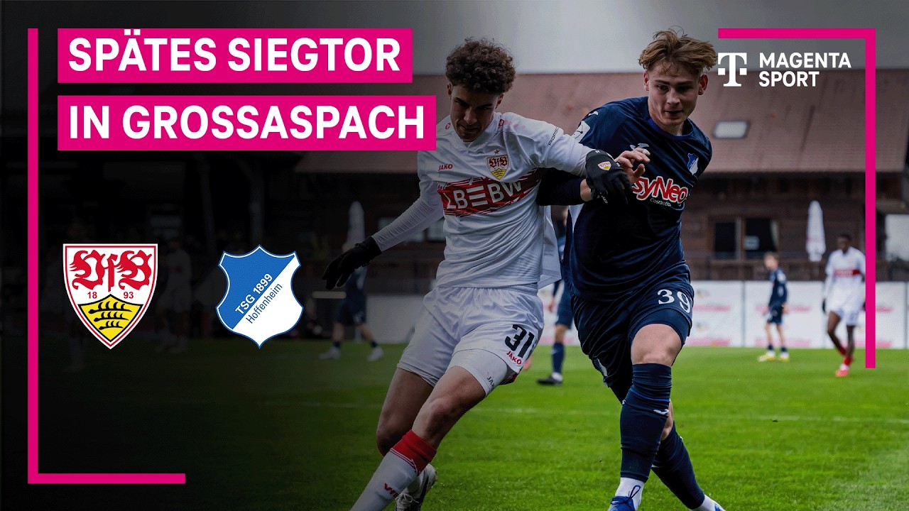 VfB Stuttgart II U21 vs TSG Hoffenheim II U23 Highlights