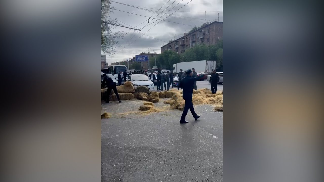 Ինչպես են ոստիկանները այսօր առավոտյան հավաքում խոտը Կոմիտասի պողոտայից