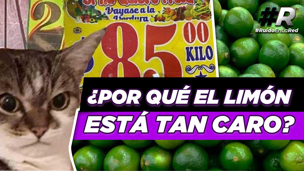 ¿POR QUÉ EL LIMÓN ESTÁ TAN CARO ¡Te explicamos! | Precio limón 2022 México
