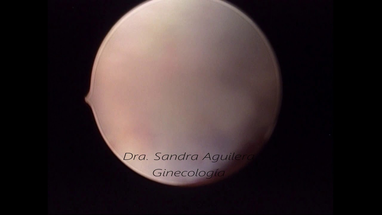 Sandra Aguilera Cervantes-16