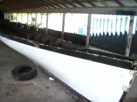 AVA BOYZ "Sneak Preview of the Paepaeulupo'o 2"