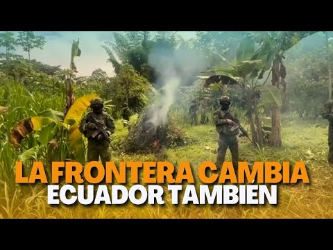 Militares destruyen 10.000 plantas de coca cola en Ecuador: ¿país de paso o país productor?