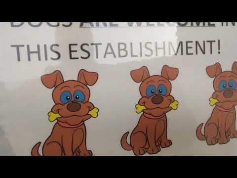 #Equinox #T7s #Slots 🎰 End of Sesh Pt 6/6 #Carousel🍒#Dog Friendly30/01/24 +18s 🚫  Link Below 😉👇🏻👍🏼💥