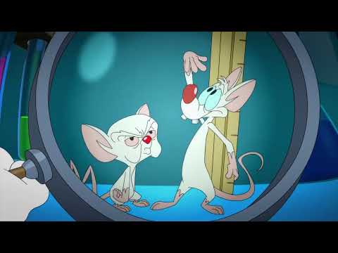 A Pinky & the Brain Intro Bloopers Christmas Special Intro