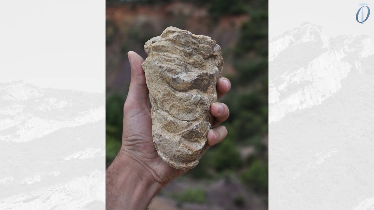 Curso de sedimentología: introducción a la interpretación de ambientes sedimentarios