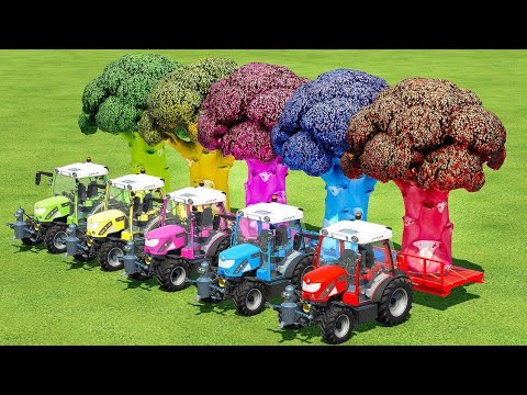 TRANSPORTING COLORFUL GIANT BROCCOLI WITH RIGITRAC MINI TRACTORS - Farming Simulator 22