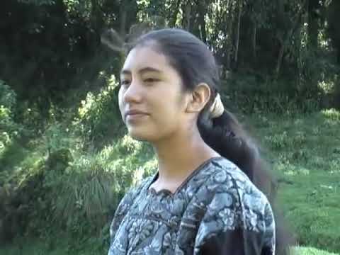 Eran Cien Ovejas Visión Pastoral   Fabiola Ramírez