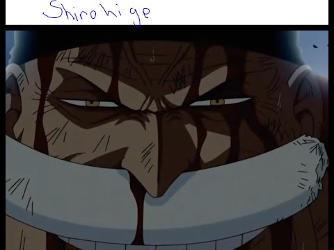 One piece card game OP02 box opening  We pulled a whitebeard