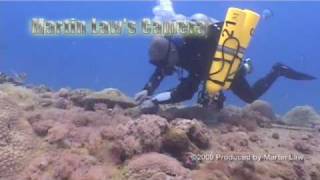 preview picture of video 'Wreck Diving in Coron April2009'