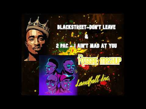 2Pac - I Ain't Mad At Cha & Blackstreet - Don't Leave Me (REGGAE MASHUP by Landfall Inc.)