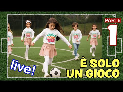 È SOLO UN GIOCO - live allo stadio