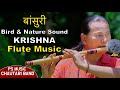Krishna Flute Music Flute Music Bansuri Dhun Birdsound Beautiful Nature Instrumental Music