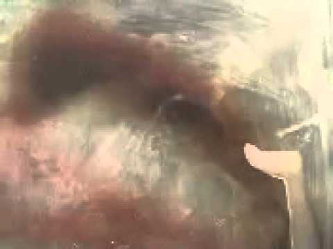 Damien Valero AACHEN iPhone cell