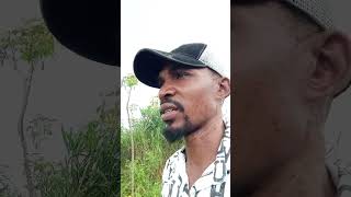 bush today city tomorrow