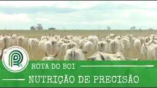 Miniatura do vídeo