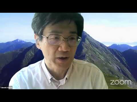 Weizhe Zheng - Ultraproduct cohomology and the decomposition theorem