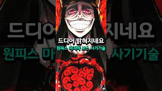 원피스 밸런스 붕괴 논란 이무의 '말도안되는 능력' 전부 공개됨
