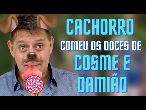 PTD nº 625 - Minha cachorra comeu os doces de Cosme e Damião. E agora?