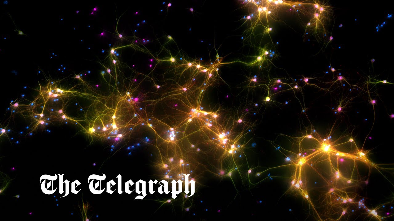 Watch: Lab-grown human brain cells learn how to play Pong - Vimarsana News