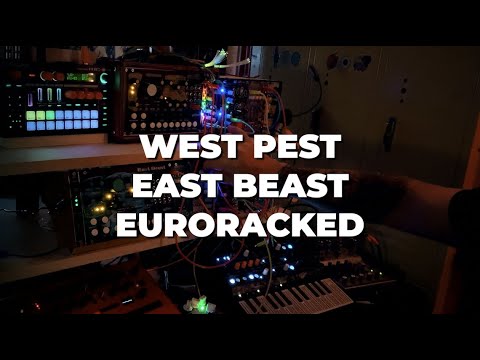 TASTY SOUNDS: WEST PEST SYNTH + EAST BEAST SYNTH, EURORACKED