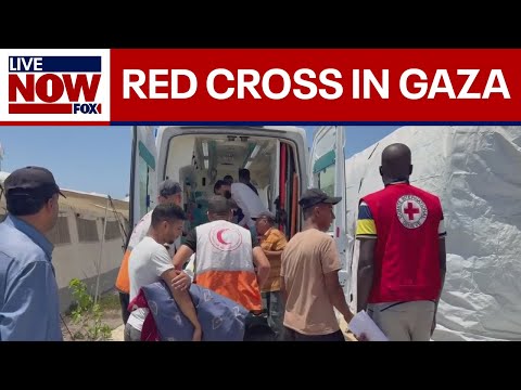 Video | Red Cross highlights efforts in Gaza amid humanitarian crisis | LiveNOW from FOX