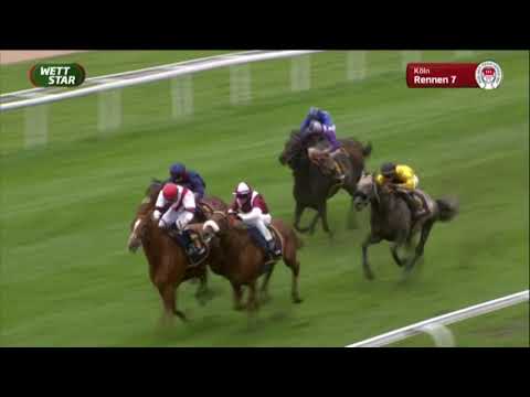 RaceBets Grand Prix Aufgalopp - Listenrennen