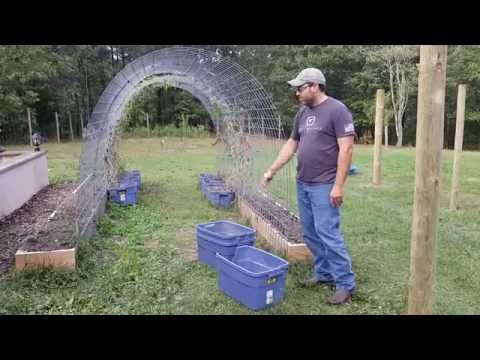 Homestead update 1 year on the property